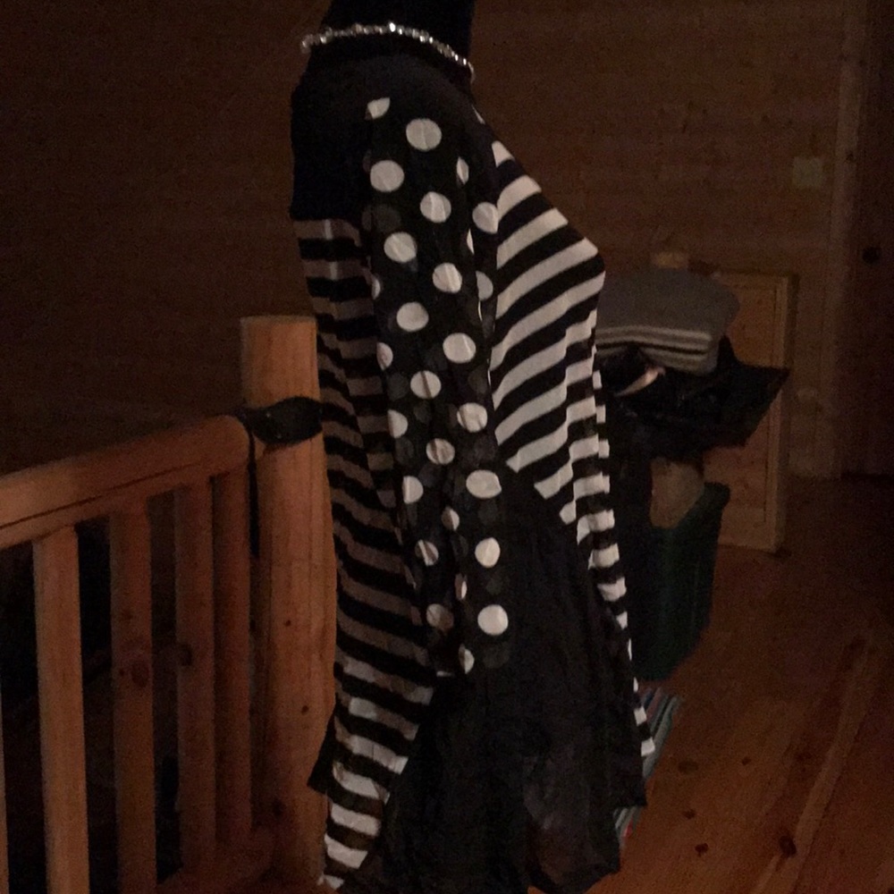 Lynn Rictchie Sheer Tunic🦓 - Picture 3 of 8